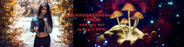 mdpv Вязьма