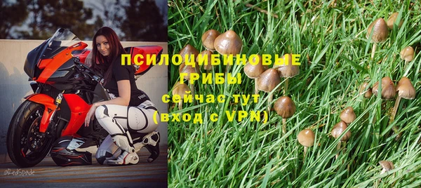 COCAINE Вяземский