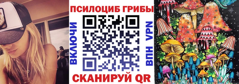 наркотики  MEGA ССЫЛКА  Галлюциногенные грибы прущие грибы  Махачкала 