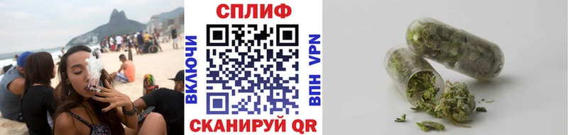 мега ONION  Махачкала  Бошки марихуана индика 